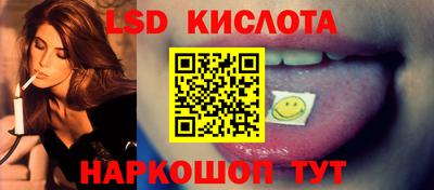 крисы Бийск