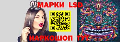 крисы Бийск