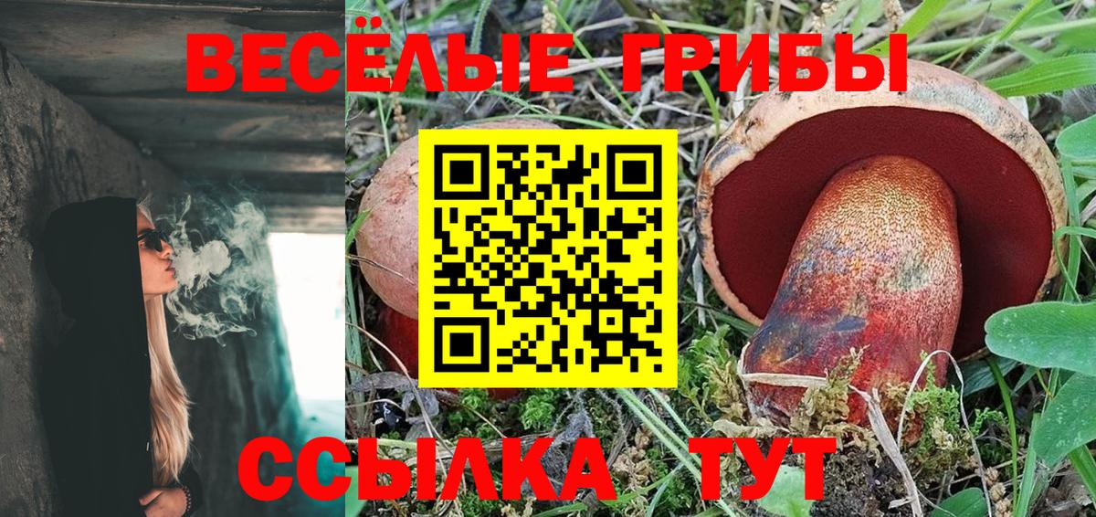 Выкса  Псилоцибиновые грибы прущие грибы  Псилоцибиновые грибы Magic Shrooms  Вход с VPN 
